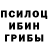 Псилоцибиновые грибы Psilocybe Ruslan Uzlanov