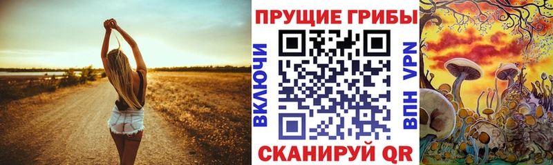 Псилоцибиновые грибы Psilocybe  Северо-Курильск 